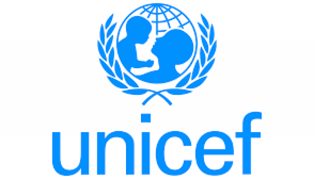 Child Protection Officer, NO-B Vacancy Job Ref: VACUNICEF3355-23